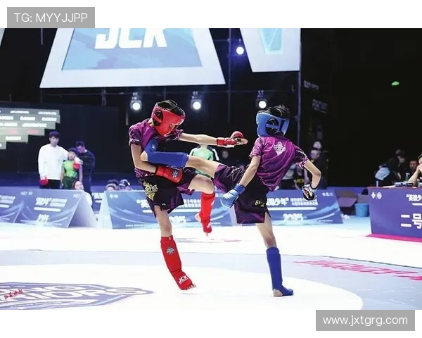 综合格斗竞技魅力与技术演进及未来发展趋势深度剖析全球格局变化 - 副本 (6) - 副本