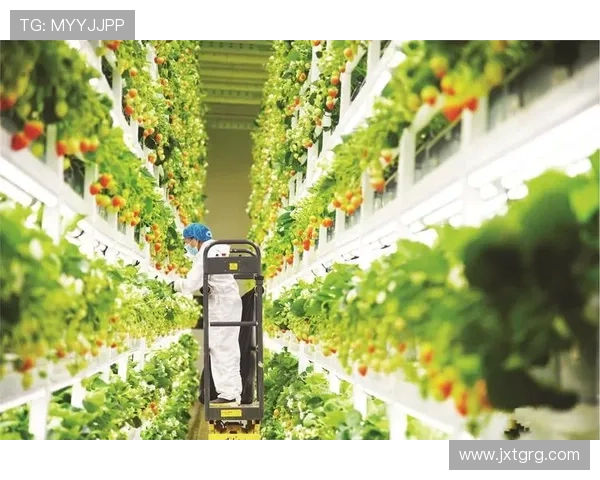 聚焦体育成果展示引领全民健身新风尚发展之路同创共享高质量创新未来 - 副本 - 副本 - 副本 - 副本 (2)